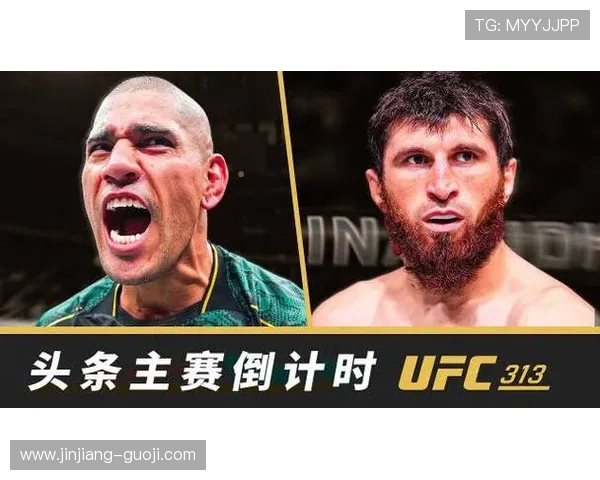 UFC终极格斗冠军赛网络直播高清免费观看入口 UFC终极格斗冠军赛网络直播高清免费观看入口